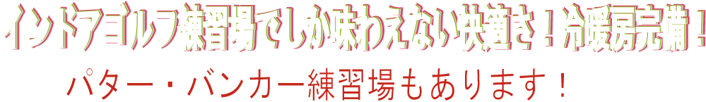 室内練習のゴルフ